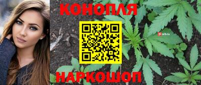 PSILOCYBIN Заволжье