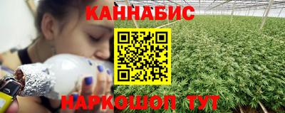mdpv Заводоуковск
