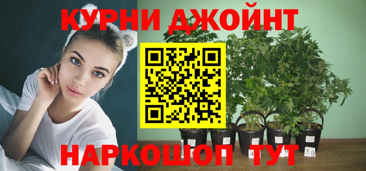 Конопля план  Бошки Шишки SATIVA & INDICA  Грязи  Вход с VPN  Канабис сатива  МАРИХУАНА марихуана 
